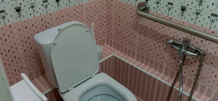 Meeting Diverse Needs With Accessible Restroom Solutions in Ronkonkoma, NY