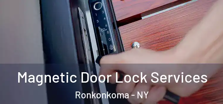 Magnetic Door Lock Services Ronkonkoma - NY